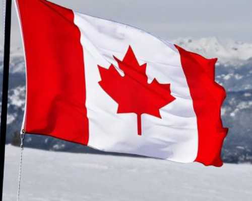 加拿大结婚移民后拒签{加拿大大幅度削减投资移民配额}