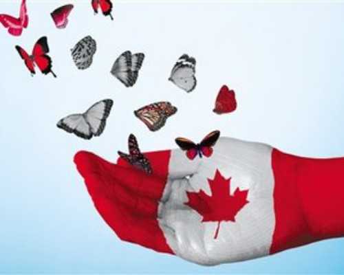加拿大温哥华移民生活指南{加拿大自雇移民，最大优势在哪里？}