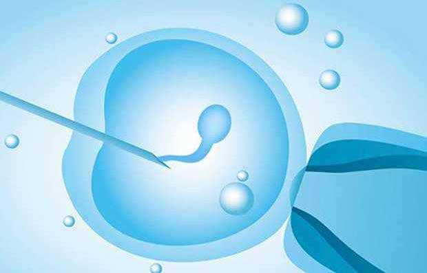 供卵成功率最高的是武汉吗 武汉大学中南医院三代试管胚胎筛查是怎样收费的