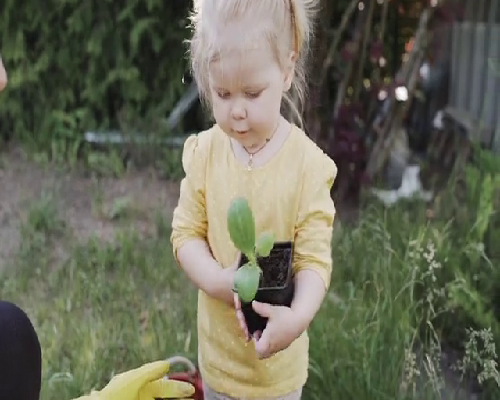 重庆代怀是怎麼回事 谁知道重庆供精人工授精的流程及费用？ ‘40天b超单怎么