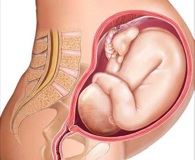 加拿大新移民英语测试{温哥华的感恩节怎么过？附加拿大感恩节来历小知识}