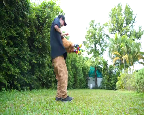 试管怀孕二十天阴超找不到怀孕囊?~代怀供卵公司