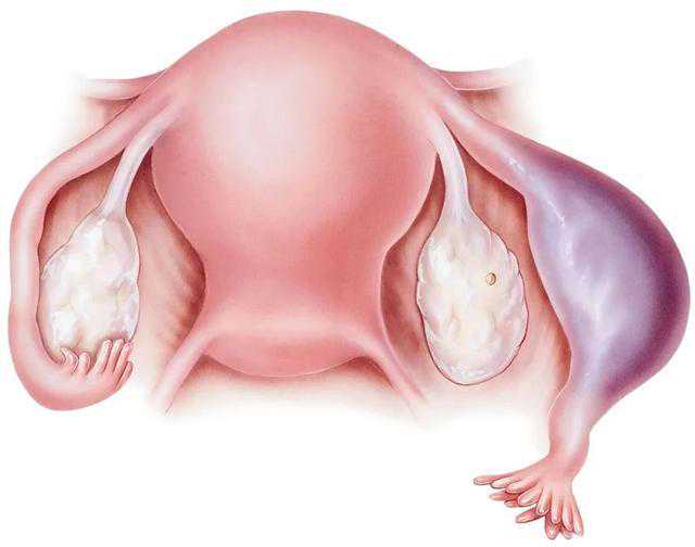 重庆代生孩子零风险 022年重庆试管助孕机构排名前七火速更新，仅有2家医院可