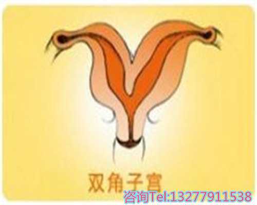 绍兴能供卵的医院 2026绍兴妇保院试管婴儿成功率一览，附2026成功率预估表 ‘