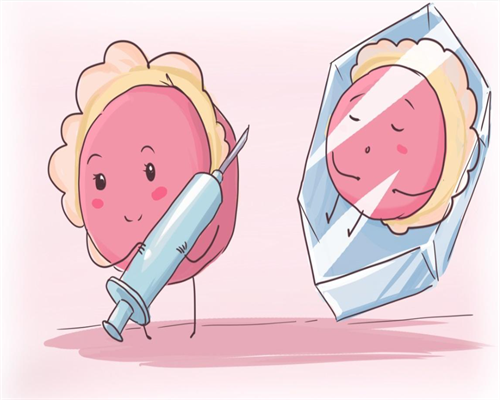 重庆代生公司选性别 2026年重庆试管婴儿费用多少? ‘四维参数看男女’