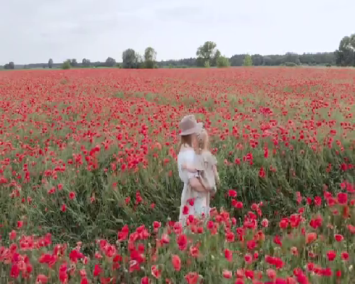 重庆助孕价格是多少 在重庆市计生医院做试管婴儿移植一次要多少费用？ ‘酒