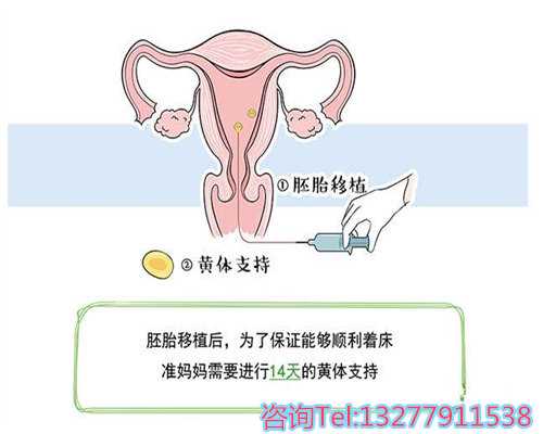 怀孕可以吃面包吗 适合孕妇吃的食物推荐~代生性别优选