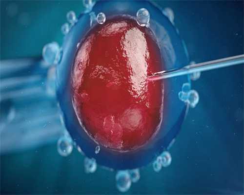 重庆供卵代生选性别 2026重庆西南医院试管婴儿费用明细一览!附最新供卵费用价