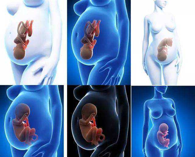 重庆代生生男孩价格 2026重庆供精人授流程一览 ‘b超数据算男女’