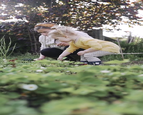 怎样去加拿大移民{移民家庭在加拿大温哥华的生活开销有哪些？}