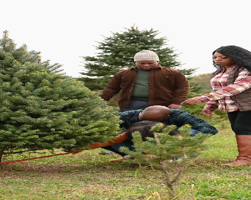 重庆助孕合法公司 2026重庆市万州区妇幼保健院试管婴儿费用明细 ‘四维彩超单