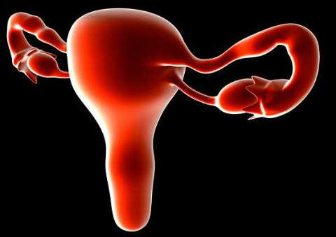 加拿大温哥华移民【最新调查显示：加拿大工程类学科男生的收入最高】