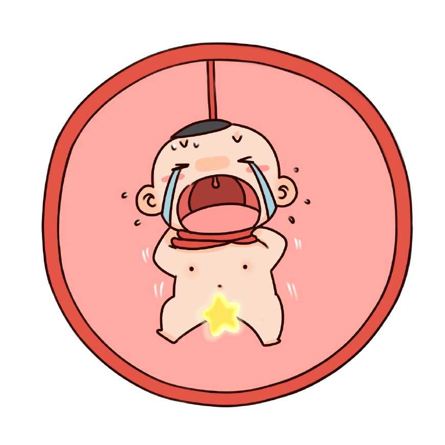 重庆借卵子流程 重庆做三代试管婴儿费用多少? ‘12周能看男女吗’