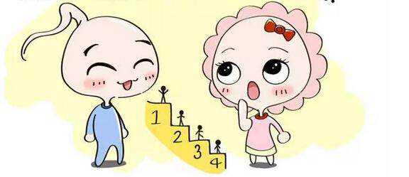 重庆借腹助孕网 重庆七星岗妇幼保健院试管婴儿价格多少? ‘萧山b超看男女电