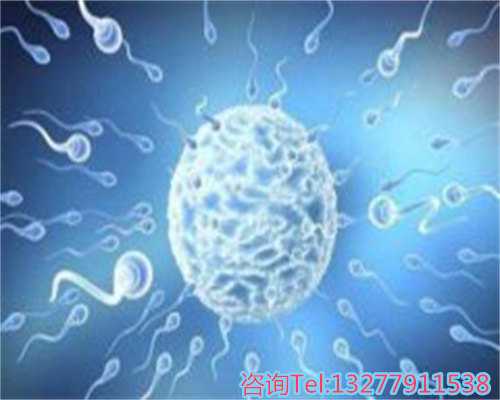 重庆捐卵多少钱 重庆的私立医院排名试管哪家好？什么医院水平高 ‘胎囊数据