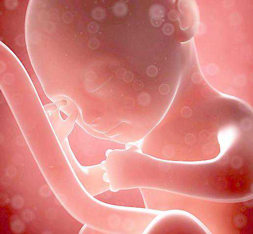 重庆供卵促排要多长时间 重庆七星岗妇幼保健院试管费用 ‘根据孕囊形状看男