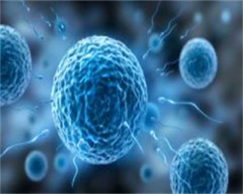 重庆成功代生网 重庆试管婴儿医院推荐 ‘孕中期通过哪些症状可以看男女’