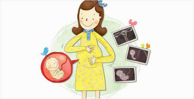 重庆供卵试管包成功哪家便宜 做重庆试管婴儿如何提升卵子质量 ‘胎囊3个值看