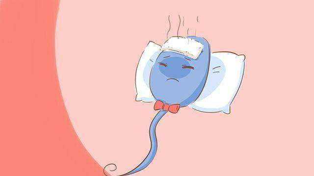 安提瓜移民的要求（安提瓜适合生活吗，优缺点有哪些）