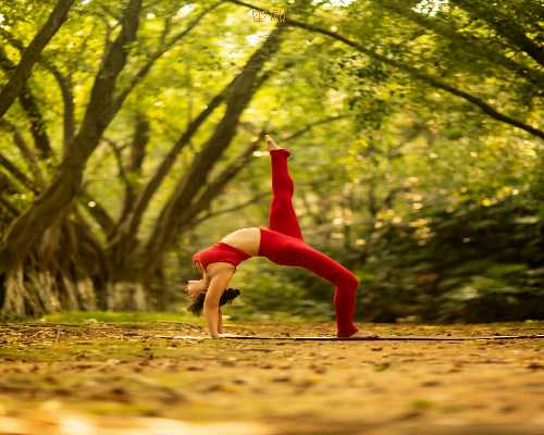 想找个重庆代生 去重庆妇幼保健院做试管婴儿怎么样? ‘彩超大小看男女’