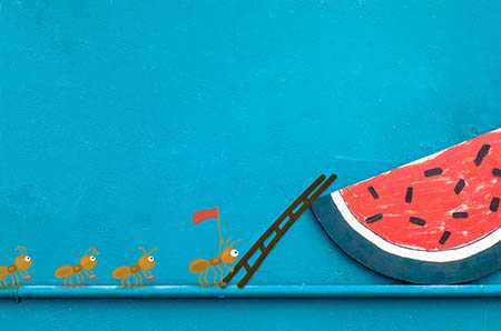 重庆借卵子自怀 重庆妇幼保健院做第三代试管婴儿需要多少钱 ‘怀男孩的b超图