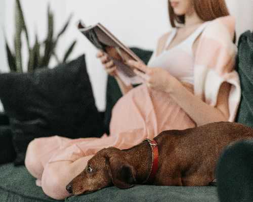 重庆代生生双胞胎生殖 2026年重庆供卵试管成功率有多高? ‘孕期酒精和尿测男