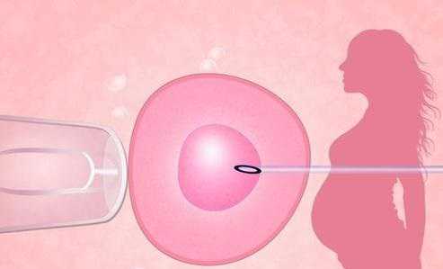 重庆供卵代生电话 重庆哪家医院做试管婴儿较好? ‘nt照片怎么看男女’