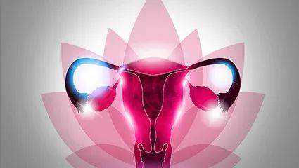 加拿大留学移民 途径（移民加拿大哪个城市最好，华人独爱温哥华！）